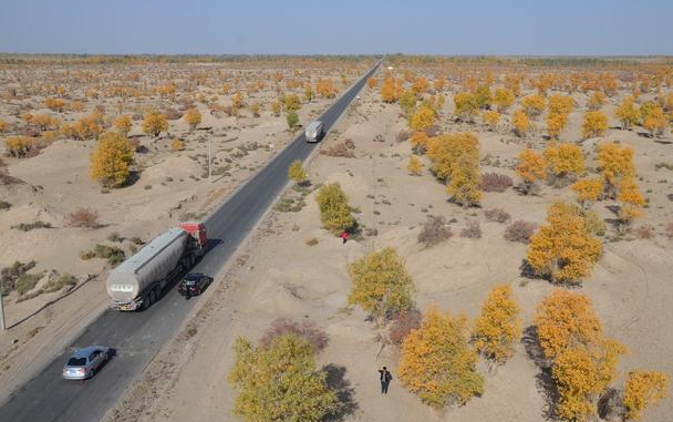 新疆塔里木沙漠公路介绍